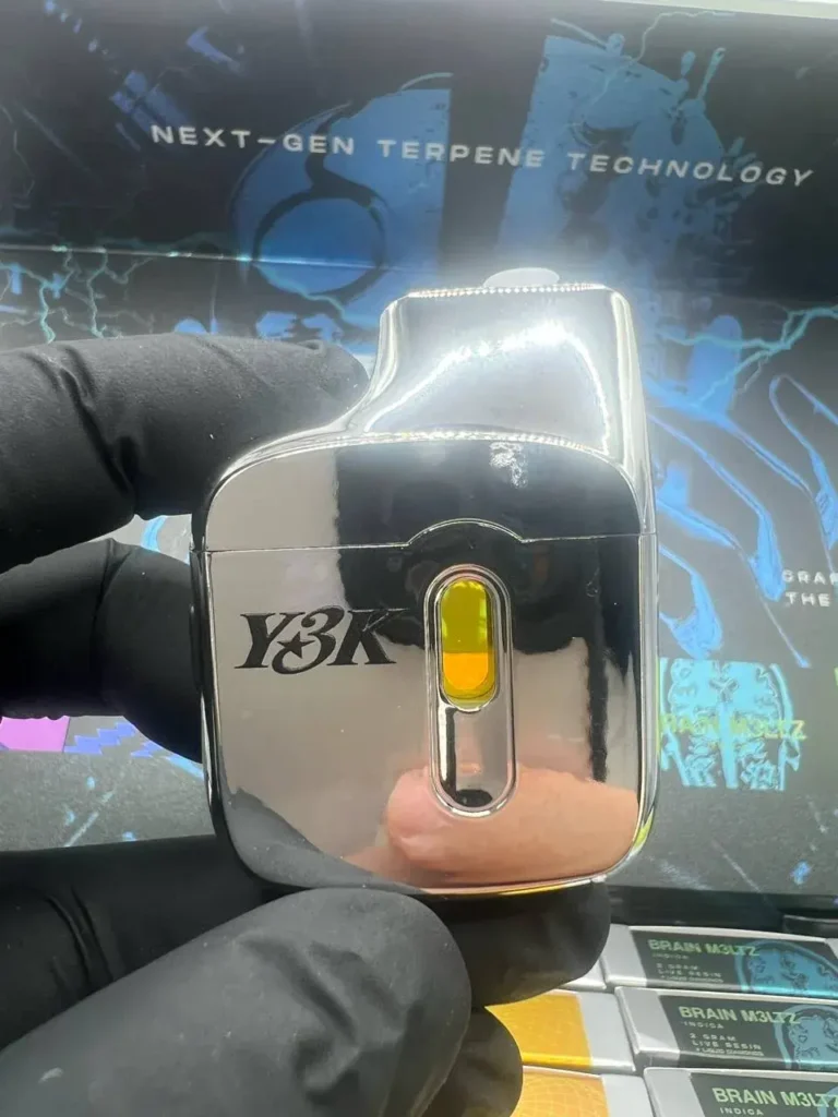 AUTHENTIC Y3K