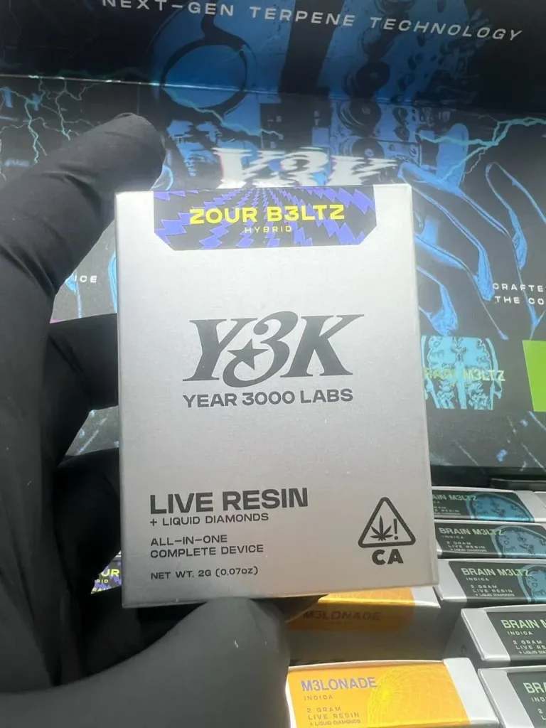 AUTHENTIC Y3K