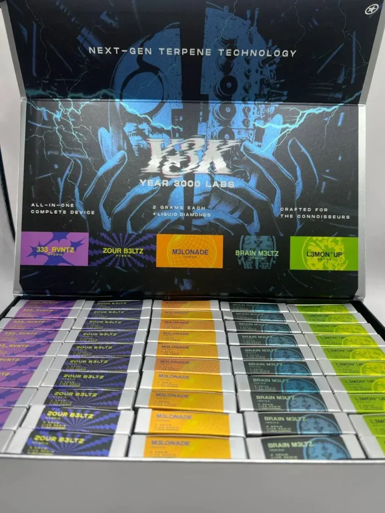 AUTHENTIC Y3K