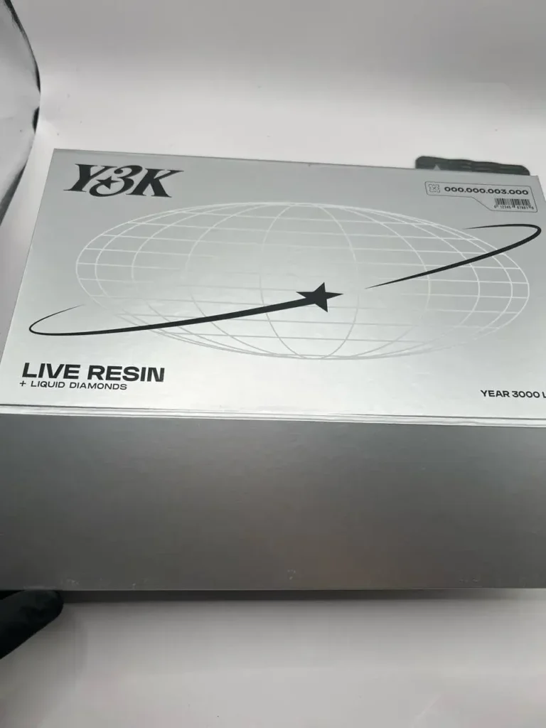AUTHENTIC Y3K