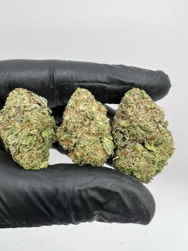 G47