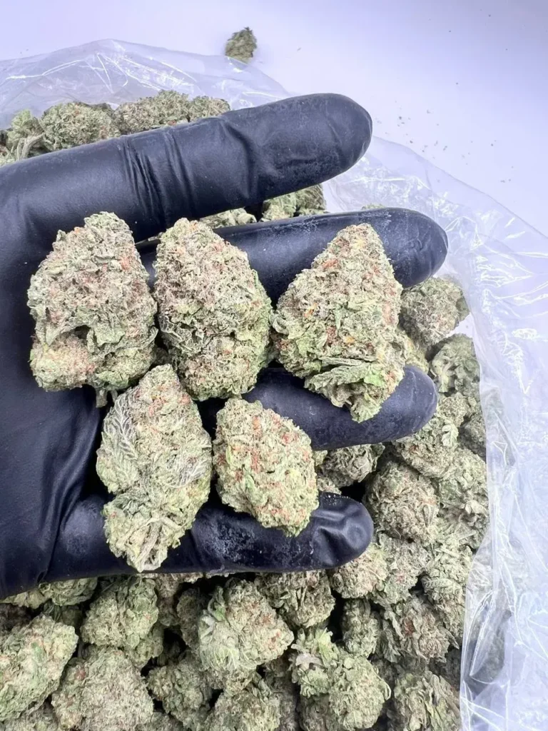 G47
