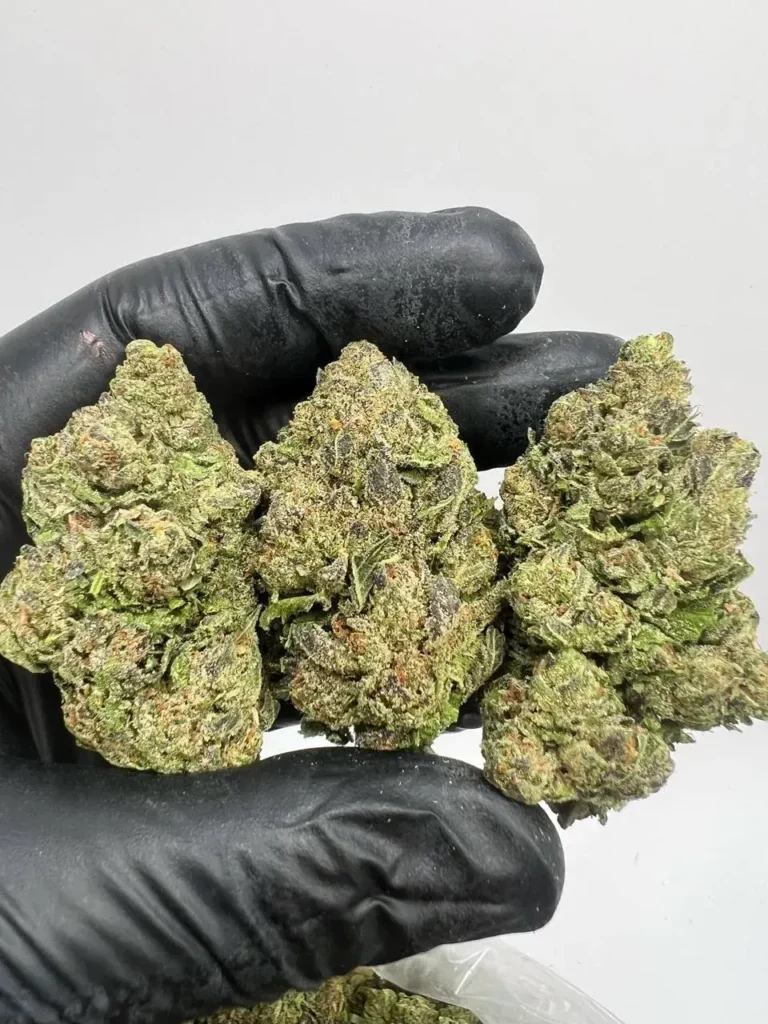 ORGANIC HERMES CANDY GAS