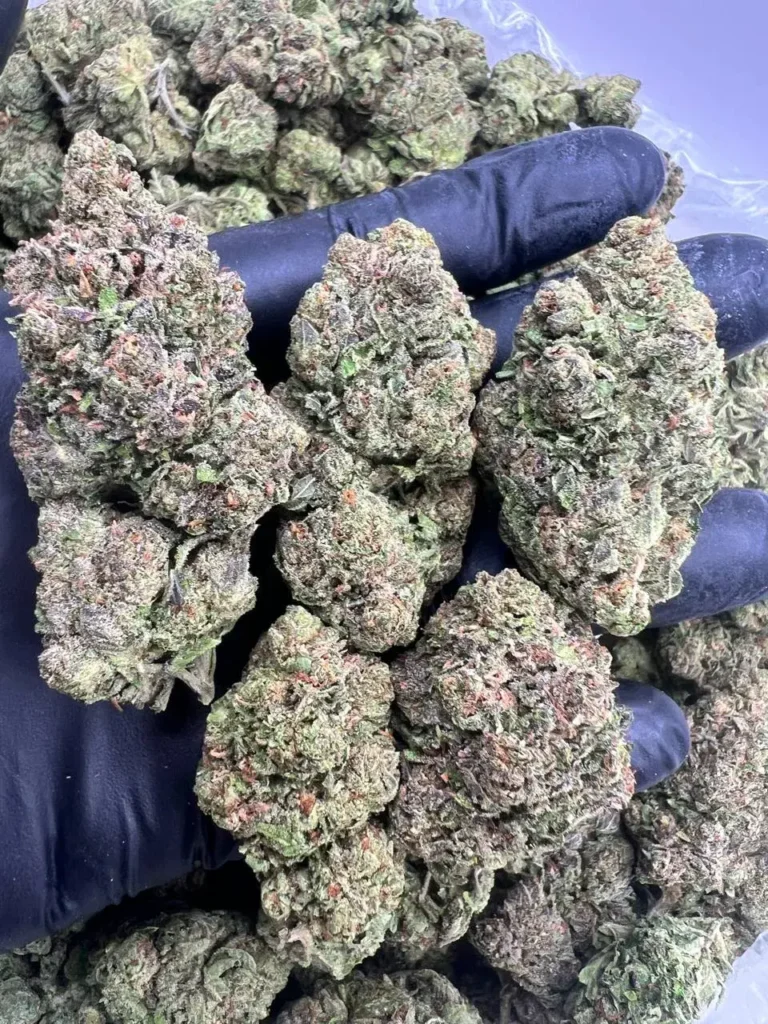 ORGANIC HERMES CANDY GAS
