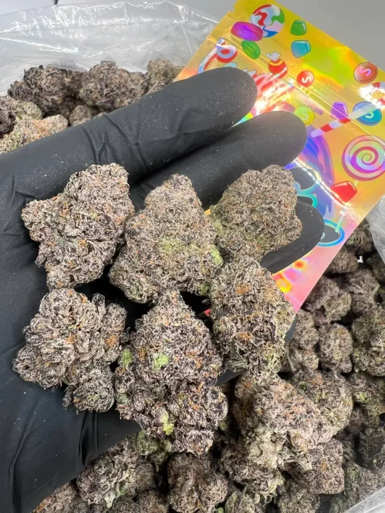 INDOOR NERDZ