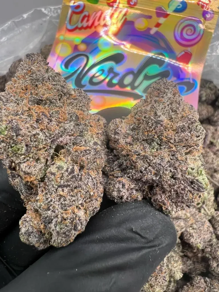 INDOOR NERDZ