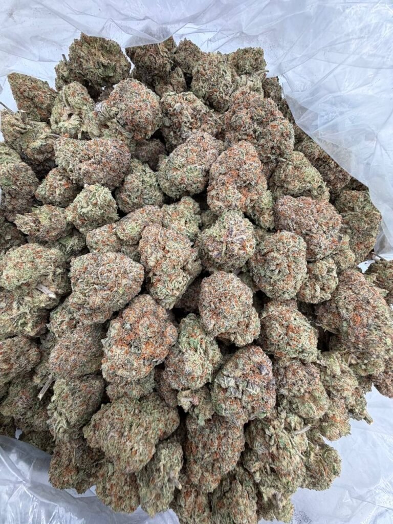 STRAWBERRY SHORTCAKE