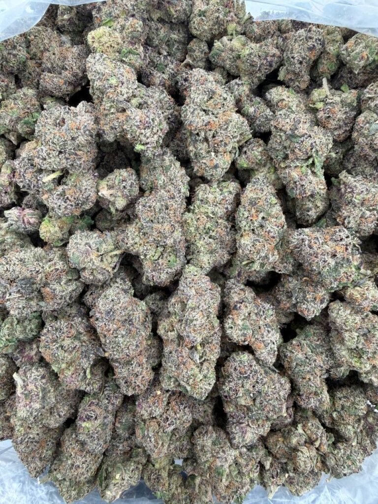 JOLLY RANCHERZ