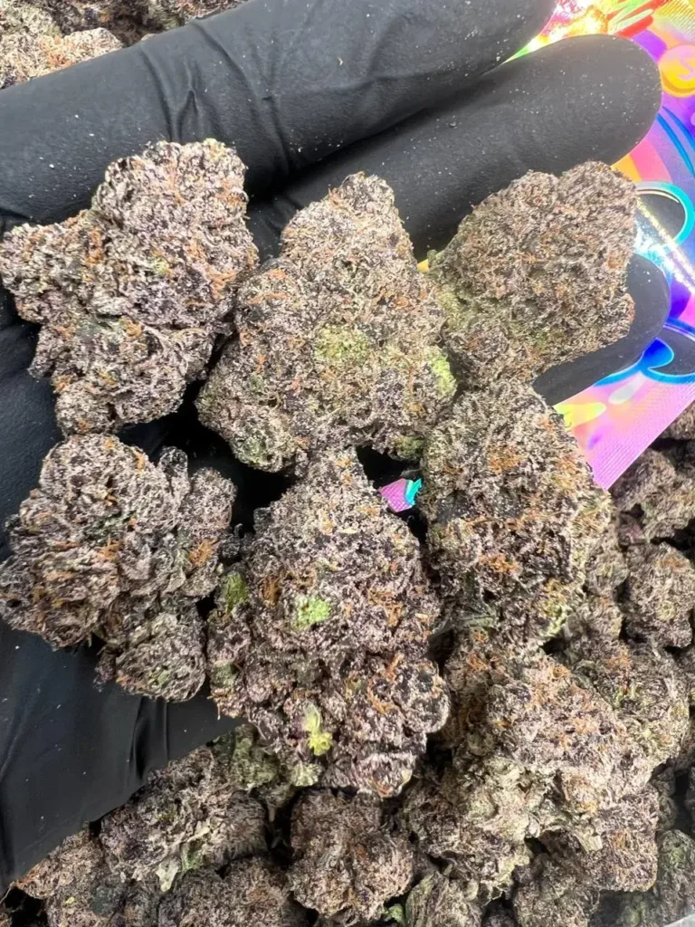 INDOOR NERDZ