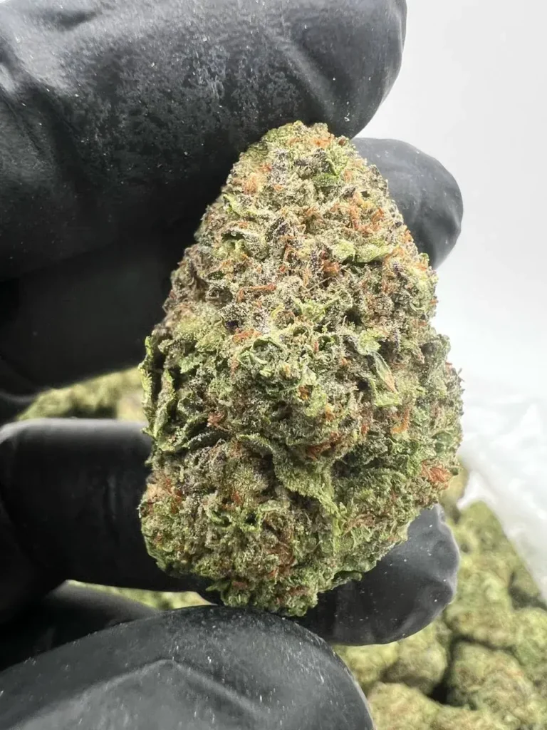 G47