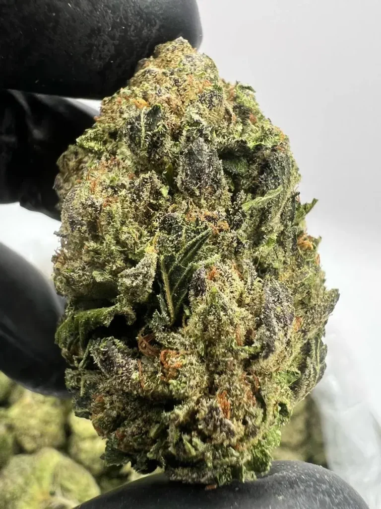 ORGANIC HERMES CANDY GAS
