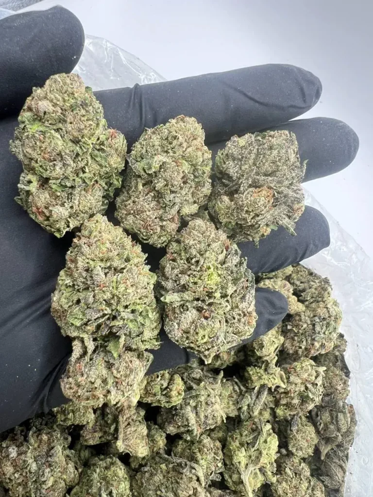 INDOOR BLUE WARHEADZ