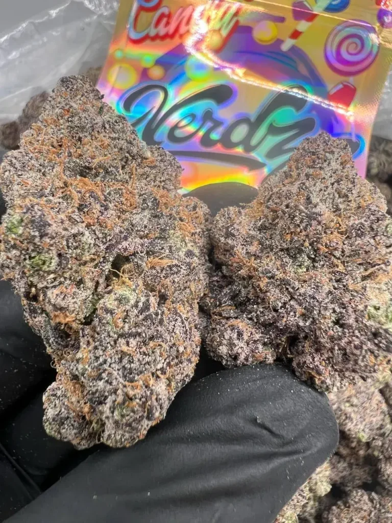 BLACK CHERRY RUUNTZ x NERDZ