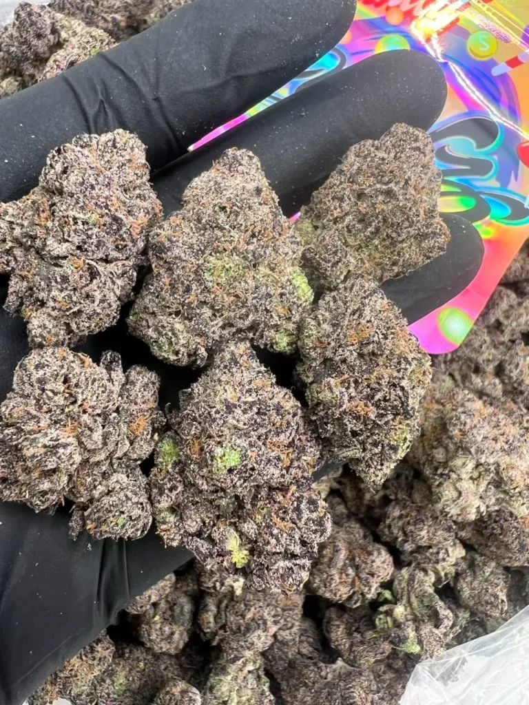 BLACK CHERRY RUUNTZ x NERDZ